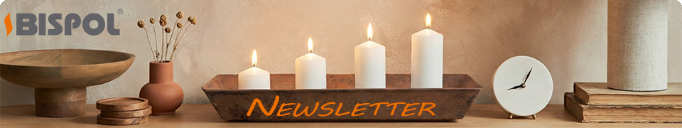 BISPOL | Newsletter